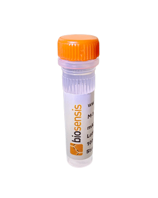 Non-specific Control IgG Antibody (Saporin)