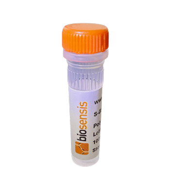 Normal Sheep IgG from non-immunized animal, Sheep Polyclonal Antibody