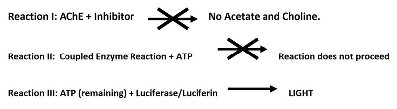 Figure 1. Assay principle showing the effect of inhibitors