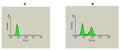Figure 1. Jurkat Cells were stimulated with staurosporine (B) or DMSO (A) for 2 hours. The cells were washed and fixed for 15 minutes. The cells were then permeabilized with saponin and stained with anti-active caspase 3 antibody for 1 hour. The samples were then stained with FITC labeled Goat anti-Rabbit antibody.