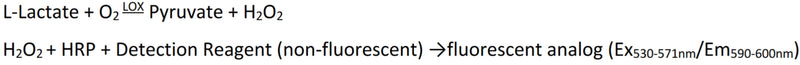 Figure 1. Assay principle