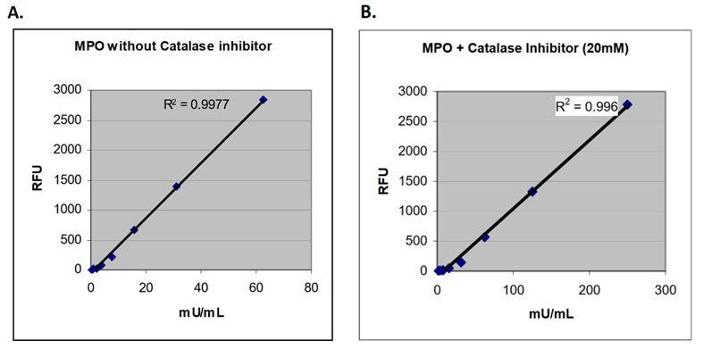 Figure 2. A MPO standard curve was prepared and run, as described in the protocol, in the absence (A) or presence (B) of 20 mM catalase inhibitor. MPO standard and reaction mix were added to a 96-well black plate and incubated at room temperature in the dark for 30 minutes. The wells were read using Ex: 530nm and Em: 590nm. There is an approximately 50% reduction in signal in the presence of 20mM catalase inhibitor (note the different scales on the x-axis).