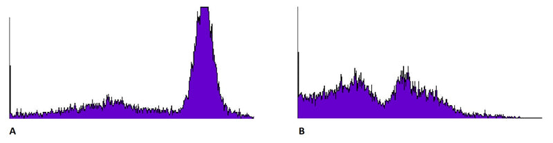 Figure 1. Jurkat cells were stimulated with Staurosporine for 3 hours (B) or DMSO (A). Mito Flow reagent was added according to the protocol, incubated for 30 minutes and analyzed by flow cytometry: Ex:488nm Em: FL2 channel.