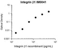 Representative Standard Curve using mouse monoclonal anti-integrin β1 (IM0041) for ELISA capture of human recombinant integrin β1 extracellular region. Capture was detected by mouse monoclonal anti-integrin β1 (IM0411) followed by appropriate secondary antibody conjugated to HRP.