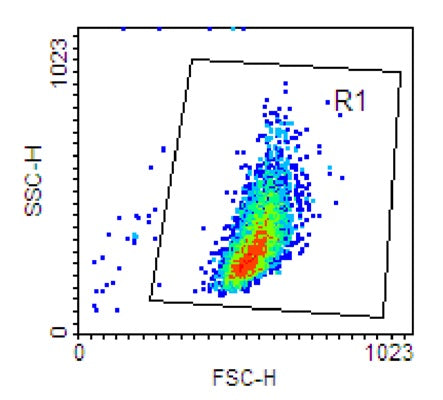 Figure 3. Flow cytometer set up: set flow cytometer so that cells can be gated with a forward scatter vs side scatter plot.