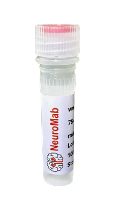 Anti-TrpV3 Antibody Biotin Conjugate
