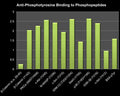Bar graph showing rabbit polyclonal anti-Phosphotyrosine (PP2221) binding to a variety of phosphotyrosine containing peptides, but no binding to unphosphorylated peptide (beta-Catenin (a.a. 29-45).