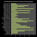 Bar graph showing anti-Phosphoserine/threonine (PP2551) binding to a variety of phosphoserine and phosphothreonine peptides, but not control peptide containing unphosphorylated serine or phosphotyrosine.