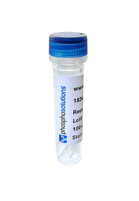 Anti-RBPMS Recombinant Guinea Pig Chimeric mAb Biotin Conjugate