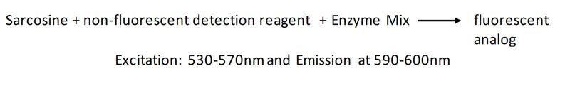 Figure 1. Assay principle