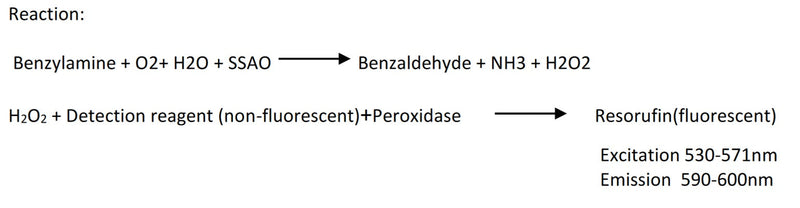 Figure 1. Assay principle