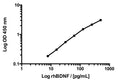 Human mBDNF Rapid ELISA Assay
