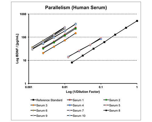 Human mBDNF Rapid ELISA Assay