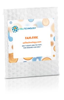 Casp 3/7 FAM-DEVD-FMK by Cell Technology