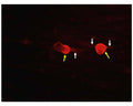 TrkA staining in fixed and permeabilized embryonic rat DRG neurons by Immunocytochemistry. TrkA-IR is observed in axonal projections (white arrows) and cell body (membrane and/or cytoplasmic compartments, yellow arrow), consistent with expected cellular localization. Primary antibody concentration: 2 µg/mL; Magnification: 32X. Image courtesy of QBM Cell Science.