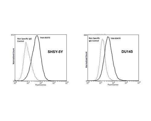 TrkA expression on non-permeabilized human SHSY-5Y neuroblastoma and DU145 prostate cancer cell lines analysed by Flow Cytometry. Blocking: 200 µg/mL normal sheep IgG (30 minutes) on ice. Primary antibody: Mouse Monoclonal antibody to TrkA, extracellular domain (cat # M-1723-100, 2 μg per ~106 cells) for 30 minutes on ice. Secondary antibody: Goat anti-mouse PE (1:100 dilution, 20 min in dark on ice. Non-specific Control IgG, clone X63 (cat# M-1249-100) was used as negative control under same conditions (black dashed). Flow cytometry data and results were generated using Orflo Moxiflow&trade; instrument and protocols.