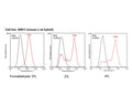 TrkB expression (red) in 50B11 mouse x rat hybrid cell line analysed by Flow Cytometry. Fixation: 0 ,2 and 4% formaldehyde in PBS, pH 7.2-7.6 on ice (10 minutes). Blocking: 100 µg/mL normal sheep IgG in PBS (30 minutes) on ice. Primary antibody: TrkB clone BS379 (10 µg/mL) for 60 minutes on ice. Secondary antibody: Goat anti-rabbit PE (1:100 dilution), 30 min in dark on ice. Non-specific control IgG clone X63 (black) was used as negative control under same conditions. Flow cytometry data and results were generated using Orflo MoxiflowTM instrument and protocols.