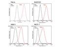 TrkC expression (red) in human (HeLa, SHSY5Y, MCF-7) and rat x mouse hybrid cell line 50B11 analysed by Flow Cytometry. Staining was performed on unfixed cells on ice. Blocking: 100 µg/mL normal sheep IgG in PBS (30 minutes) on ice. Primary antibody: TrkB clone BS337 (10 µg/mL) for 60 minutes on ice. Secondary antibody: Goat anti-rabbit PE (1:100 dilution), 30 min in dark on ice. Non-specific control IgG clone X63 (black) was used as negative control under same conditions. Flow cytometry data and results were generated using Orflo MoxiflowTM instrument and protocols.