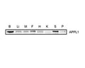 Western blot analysis with Rabbit polyclonal antibody to human APPL1, catalog number R-1331-100. Tissue homogenates of mouse brain (B), liver (Li), muscle (M), fat (F), heart (H), kidney (K), spleen (S) and pancreas (P) were used and 30 µg of protein was loaded in each lane. Image courtesy of Wang C. et al (2009) J Biol Chem.
