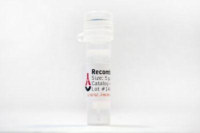 Recombinant Mouse CCL3