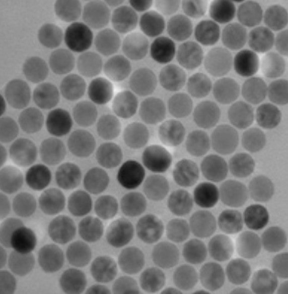Transmission Electron Microscopy (TEM) OA-NPs