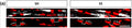 Representative confocal micrographs of paranode (CASPR, brace; red) pairs with interspersed node of Ranvier (bracket), demarcated by juxtaparanodes (KV1.1; white) in brain from with standard-housed (SH) or environmental enrichment (EE) mice. Image from publication CC-BY-4.0. PMID:36217300