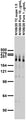 Adult rat brain membrane immunoblot.