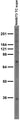 Adult rat brain membrane immunoblot.