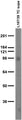 Adult rat brain membrane immunoblot.