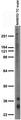 Anti-BDNF Antibody