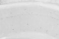 Adult rat hippocampus immunohistochemistry.